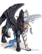 0-winged.jpeg